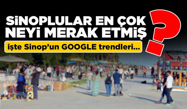 Sinoplular internette en çok neyi merak etmiş?
