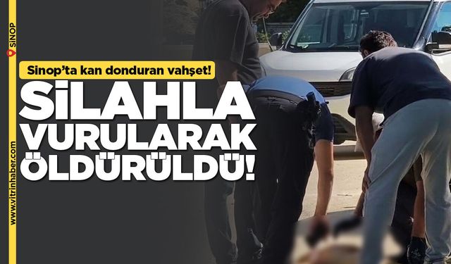 Sokak köpeği silahla vurularak öldürüldü