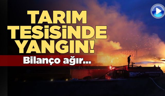 Tonlarca yem, binlerce balya saman yandı!