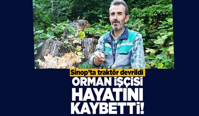 Sinop'ta traktör devrildi, orman işçisi öldü