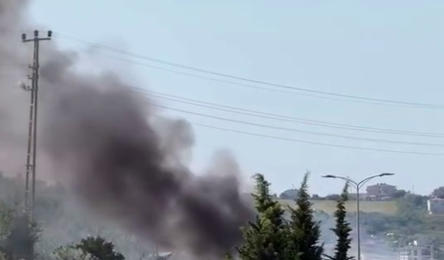 Sinop Ordu Mahallesi'nde otluk alanda yangın paniği