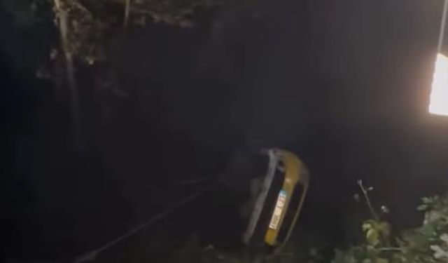 Ticari araç dereye devrildi