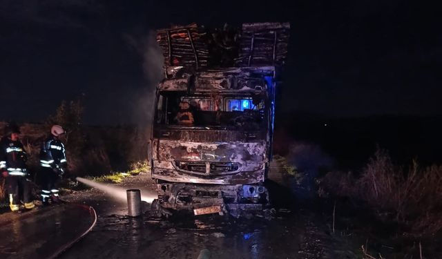 Yangın çıkan kamyon kullanılamaz hale geldi
