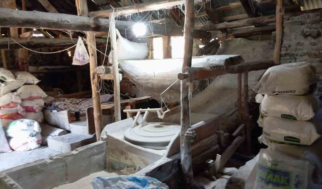 Ata tohumundan üretilen buğdaya talep artıyor