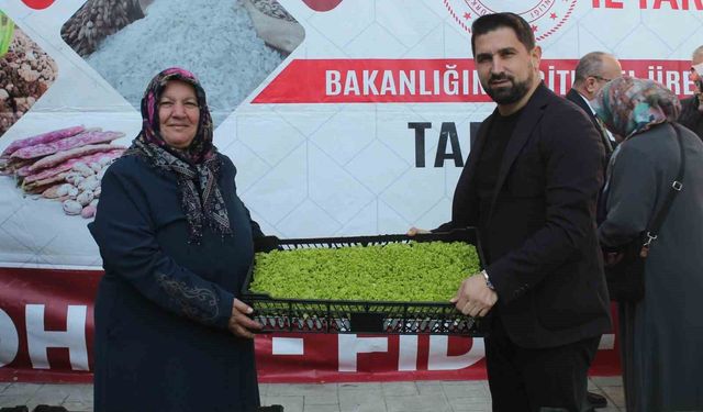 Çiftçilere 2,6 milyon TL'lik fide ve tohum desteği
