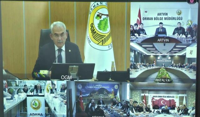 Sinop, Millî Ağaçlandırma Günü'ne hazırlanıyor