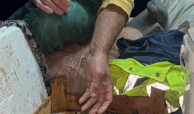 Sinop'ta mavi sürpriz: Balıkçının ağından çıktı!