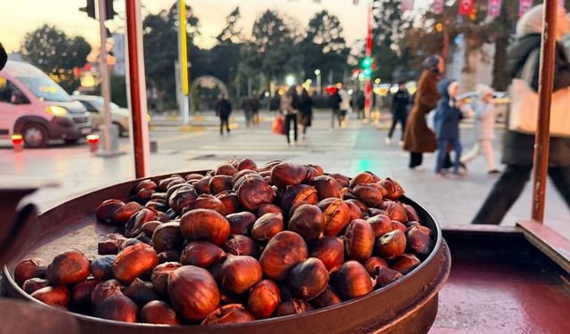 Sinop’tan Erzincan’a uzanan kestane lezzeti