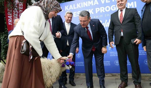 Trabzon'da hayvancılığa destek