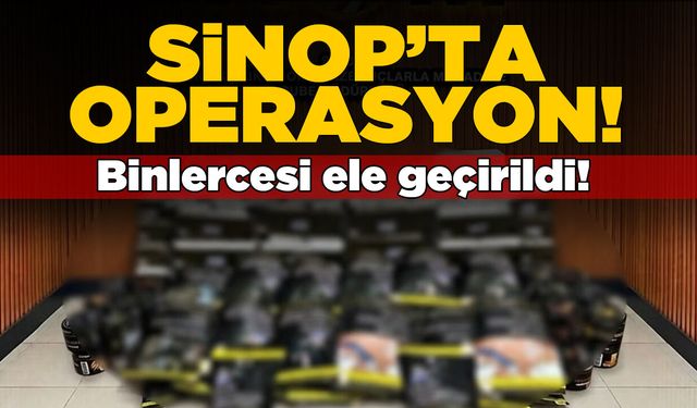 Sinop’ta operasyon: Binlercesi ele geçirildi