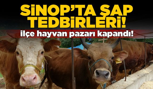 İlçedeki hayvan pazarında şap tedbiri