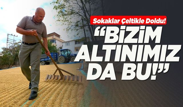 "Bizim Altınımız Bu!” Durağan’da Sokaklar Çeltik Tarlasına Döndü!