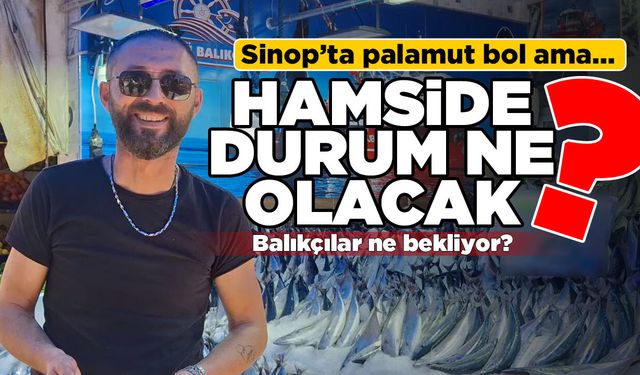 Sinop’ta palamut bol, peki hamsi?