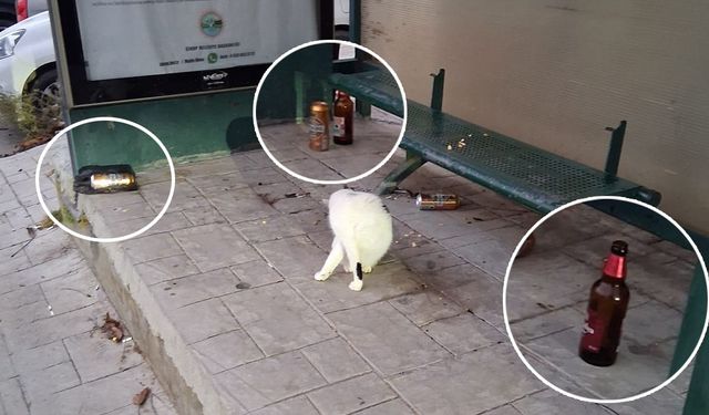 Sinop’ta dolmuş durağına bırakılan içki şişelerine tepki