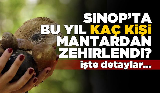 Sinop’ta mantar zehirlenmelerinde artış!