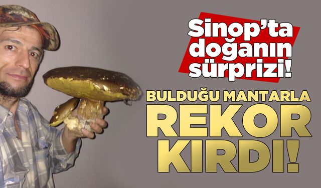 Sinoplu vatandaşın bulduğu dev mantar şaşırttı