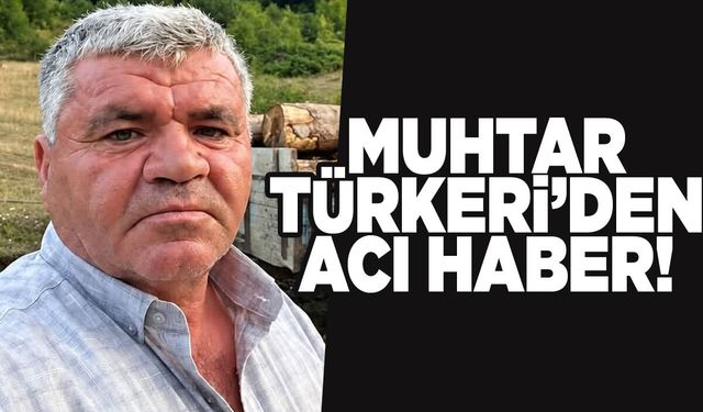Sinop'ta acı haber! Köy muhtarı hayatını kaybetti