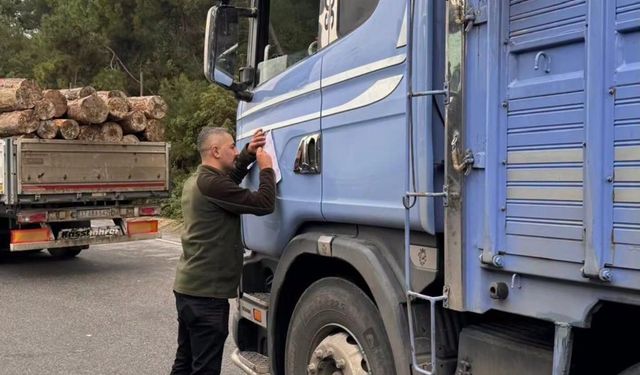 Sinop’ta orman kaçakçılığına karşı sıkı denetim