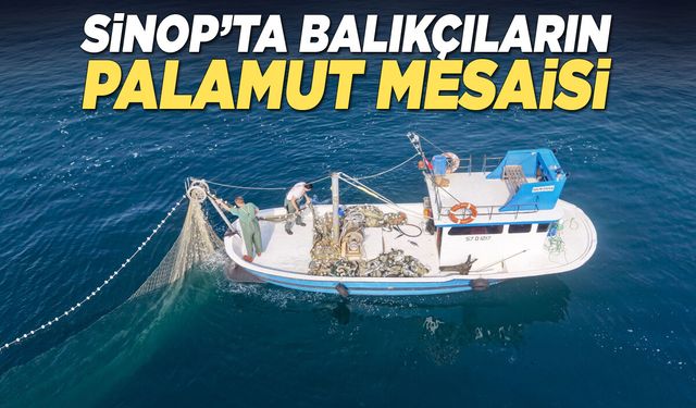 Sinop'ta balıkçıların palamut avı mesaisi