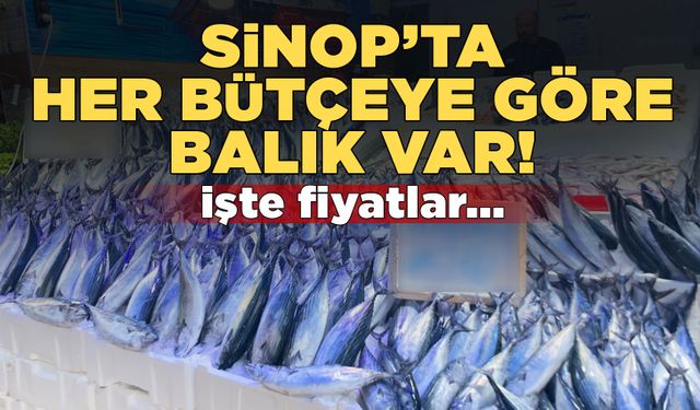 Sinop’ta herkes bütçeye göre balık var