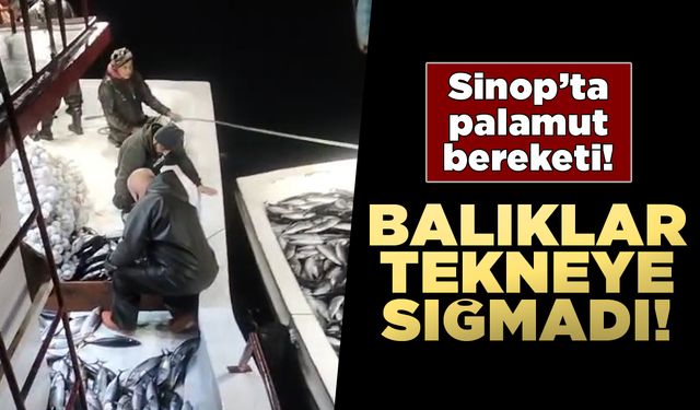 Palamutlar tekneye sığmadı, yardıma başka tekne geldi