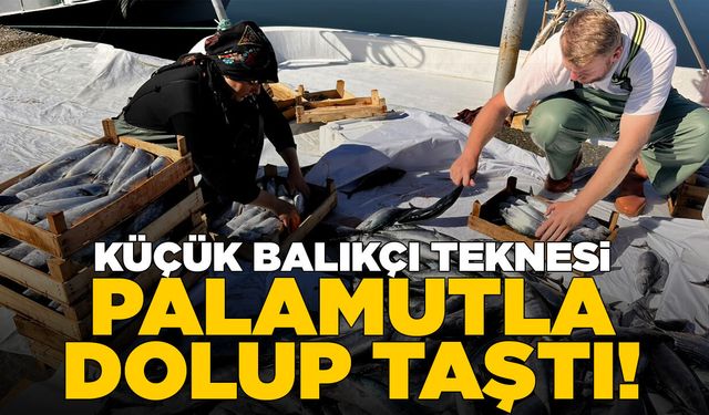Küçük balıkçı teknesi palamutla dolup taştı