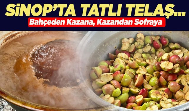 Sinop’un köylerinde tatlı telaş!