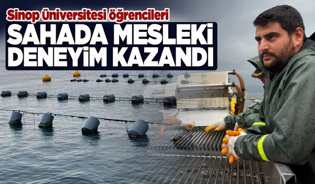 Sinop'ta öğrenciler midye hasadını sahada öğrendi