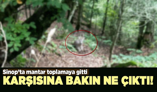 Karşısına çıkanı görünce telefona sarıldı!