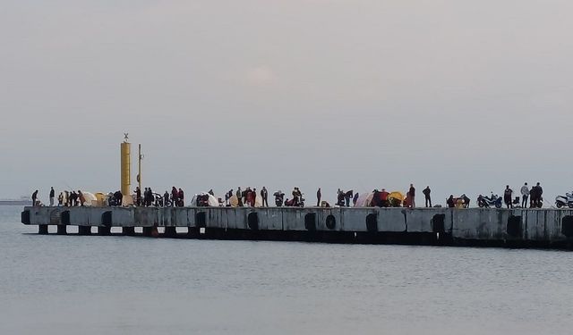 Sinop İskelesi amatör balıkçıların akınına uğradı