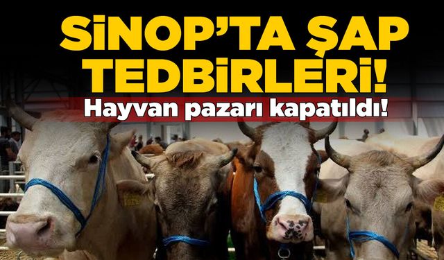 Kabalı köyü hayvan pazarında şap tedbiri