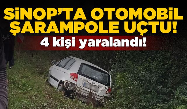 Sinop'ta şarampole uçan araçta 4 yaralı var