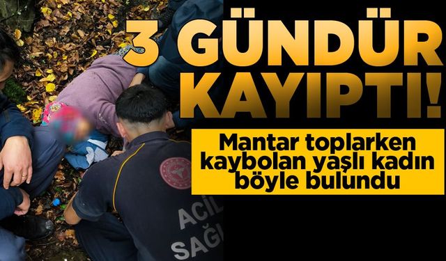Sinop Boyabat'ta Kayıp Kadının Bulunma Anı!