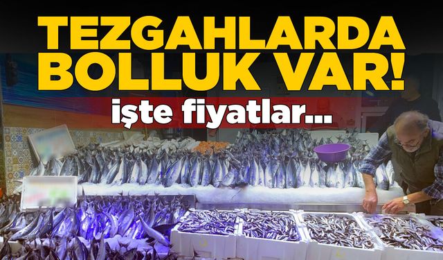 Sinop’ta balıkçılık sezonu bereketli geçiyor