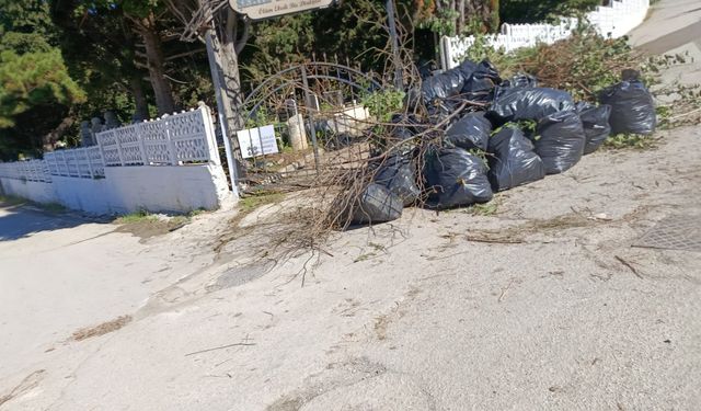 Çukurbağ Mezarlığı çevresinde temizlik çalışması
