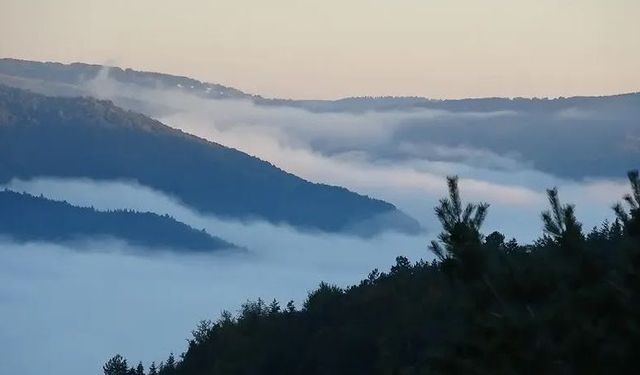 Sinop’un yüksek kesimlerinde sis etkili oldu