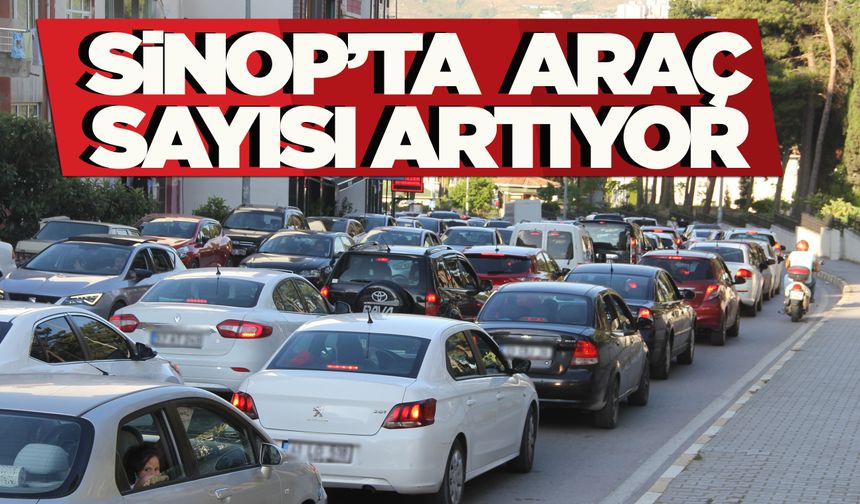 Sinop’ta araç sayısı artmaya devam ediyor