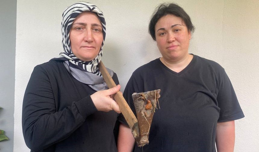Köyleri basan sülük vatandaşları canından bezdirdi