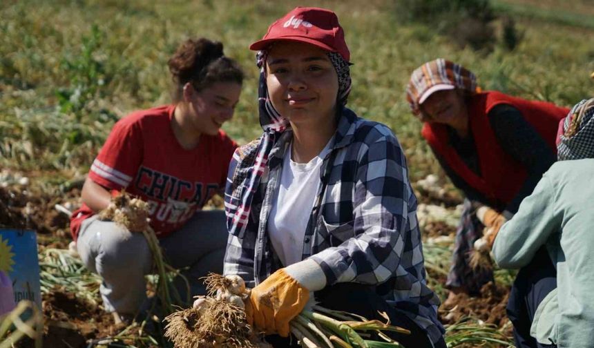 Her gün 200 kilometre yol gidip tarlada çalışıyorlar!