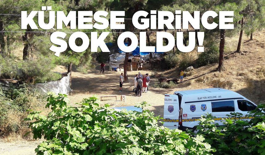 Kümesten çıktı soluğu emniyette aldı!