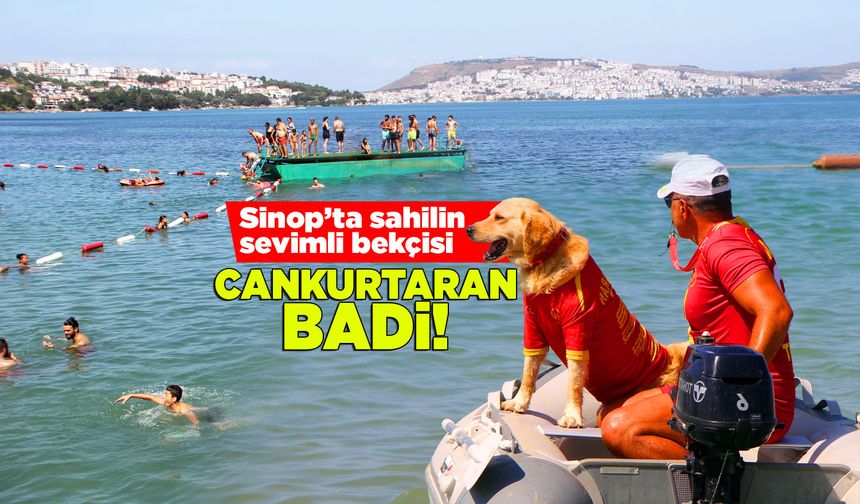 Sinop'ta sahiller güvende! Cankurtaran Badi iş başında