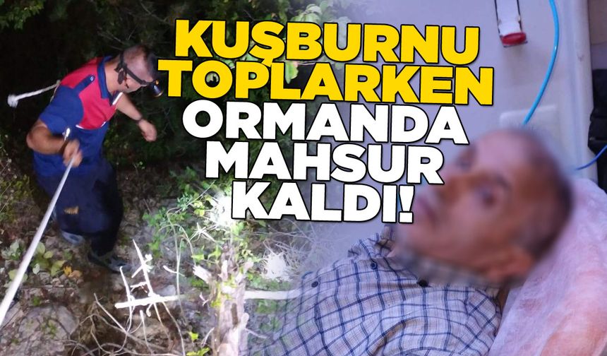 Kuşburnu toplarken ormanda mahsur kaldı