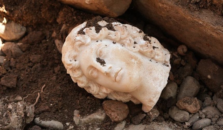 Düzce'de büyük İskender portre başı bulundu
