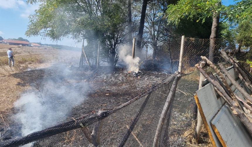 Sinop’ta çıkan eş zamanlı yangınlar korkuttu