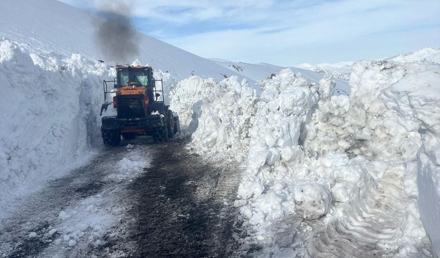 ŞIRNAK - 2 bin 230 rakımlı Tanin Geçidi'nde kar temizleme çalışması devam ediyor