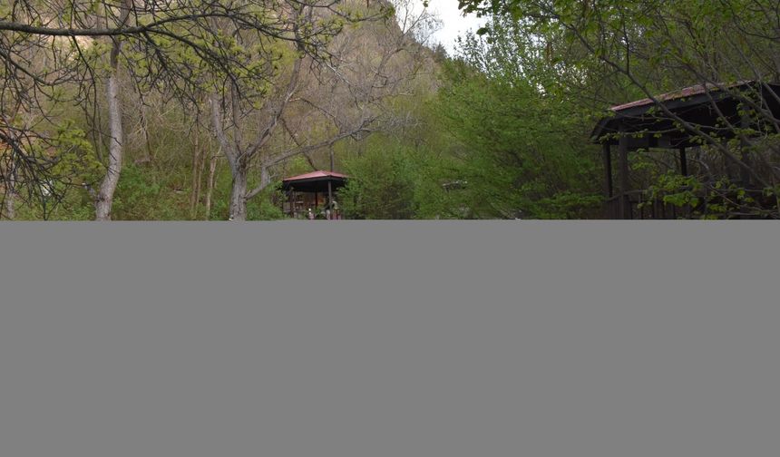 Gümüşhane Tomara Şelalesi'nde turizm sezonu açıldı
