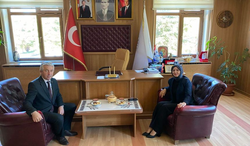 İhsangazi Kaymakamı Sönmezoğlu'ndan Belediye Başkanı Sağlık'a ziyaret