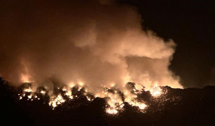 ARTVİN - Çöp sahasında yangın çıktı