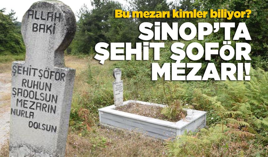Sinop'ta Şehit şoför mezarı