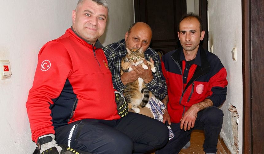Giresun'da apartman bacasına sıkışan kedi itfaiye tarafından kurtarıldı